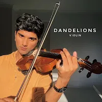 Joel Sunny — Dandelions (Violin) — обложка
