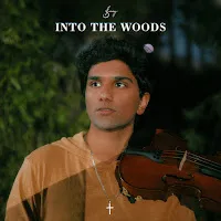 Joel Sunny — Into The Woods — обложка